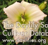 Daylily Siberian Sleigh